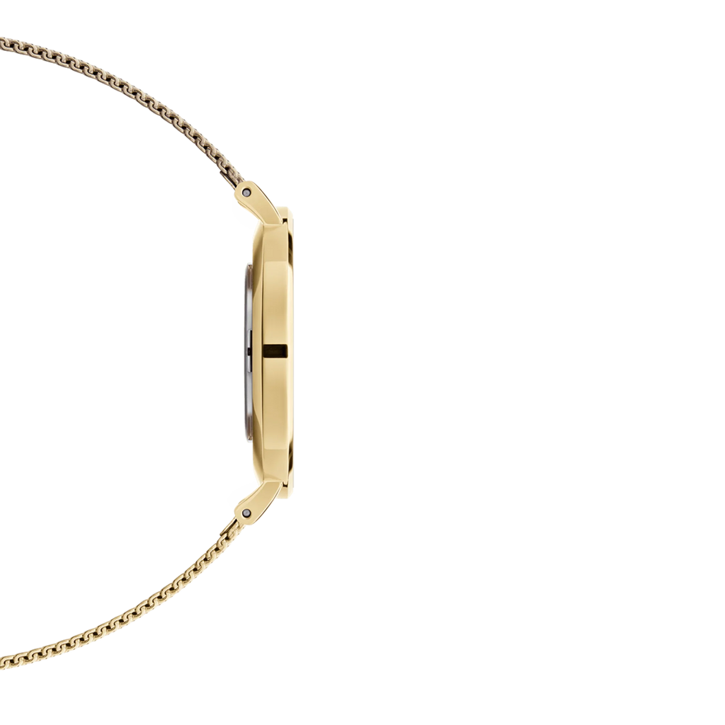 Daniel Wellington Petite Evergold Ladies Watch