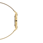 Daniel Wellington Petite Evergold Ladies Watch