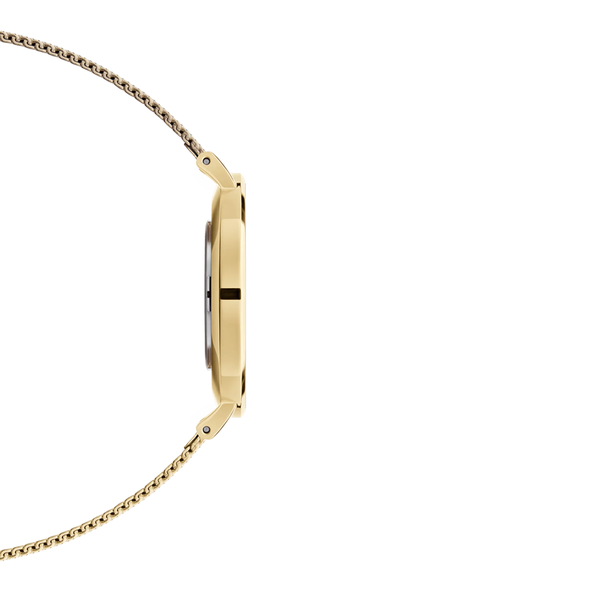 Daniel Wellington Petite Evergold Ladies Watch