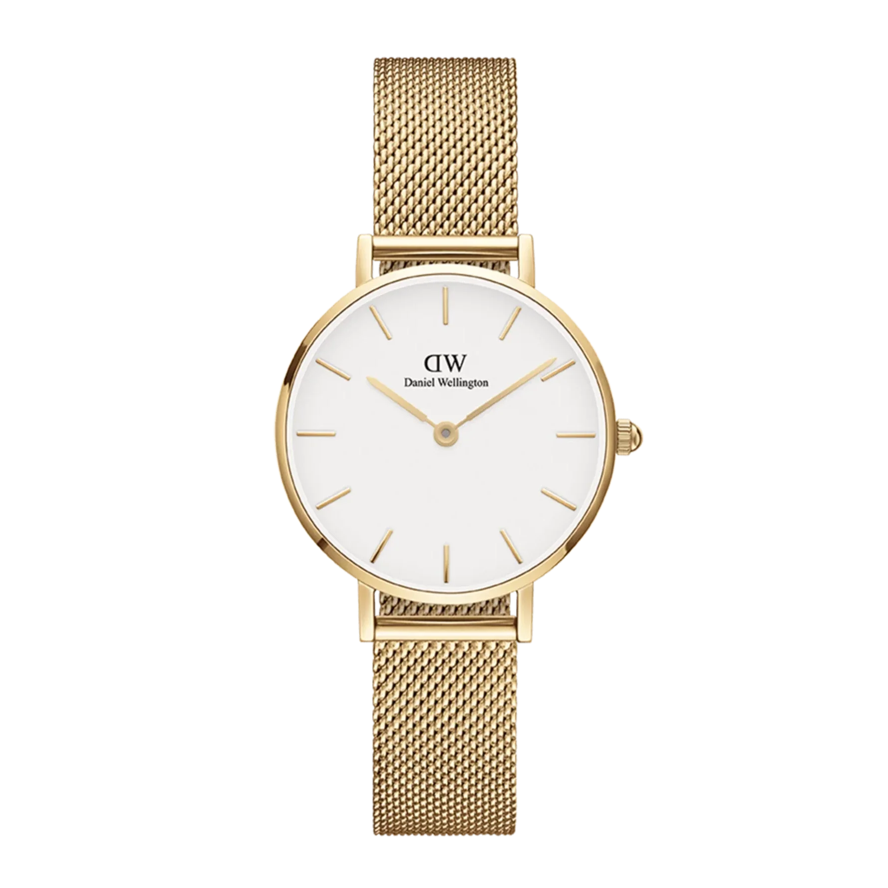 Daniel Wellington Petite Evergold Ladies Watch