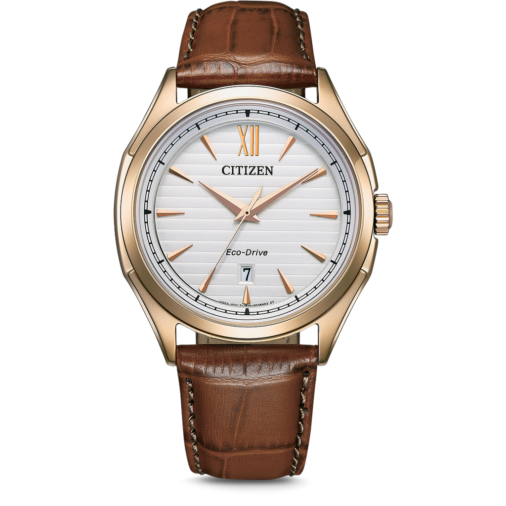 Citizen Eco-Drive Men's Watch
