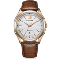 Citizen Eco-Drive Men's Watch