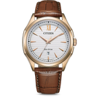 Citizen Eco-Drive Men's Watch