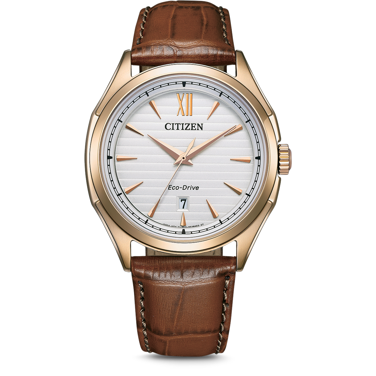 Citizen Eco-Drive Men's Watch