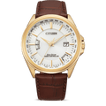 Citizen Eco-Drive Radio Controlled Men's Watch