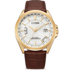 Citizen Eco-Drive Radio Controlled Men's Watch