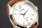 Citizen Eco-Drive Men's Watch
