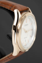 Citizen Eco-Drive Men's Watch