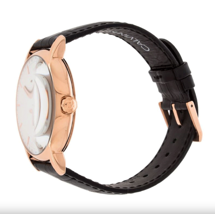 Calvin Klein Watch Established Rose Gold