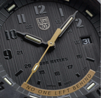 Luminox Master Carbon SEAL 3800 Series Limited Edition Men's Black Watch