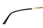 Versace Women's Sunglasses Square Black/Pale Gold Polar