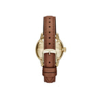 Burberry The Classic Ladies Gold Brown Watch