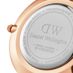 Daniel Wellington Petite St Mawes Ladies White Watch