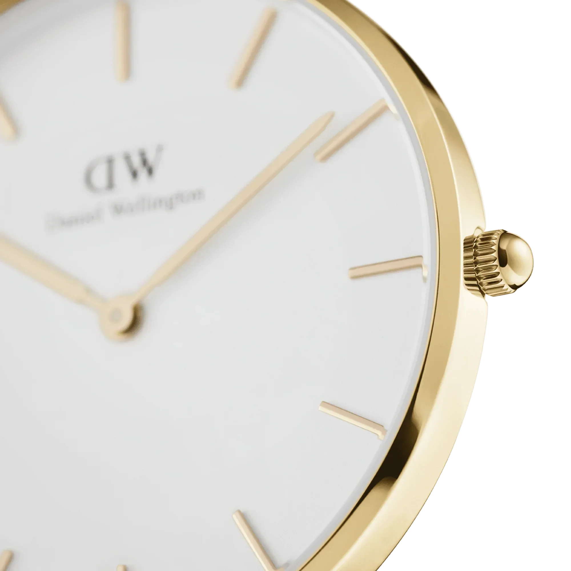 Daniel Wellington Petite Evergold Ladies Watch