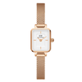 Daniel Wellington Quadro Mini Evergold Gold Champaign Ladies Watch